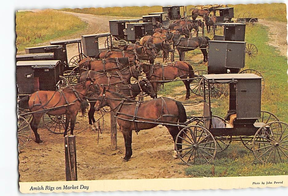 Postcard Amish Rigs on Market Day Pennsylvania USA