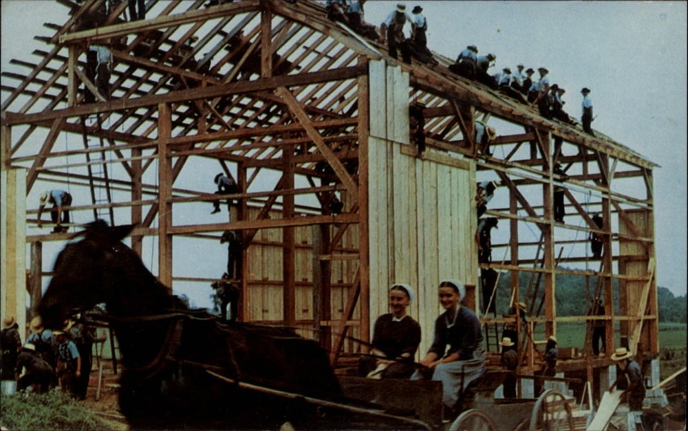 Pennsylvania Amish Barn Raising horse buggy unused vintage postcard
