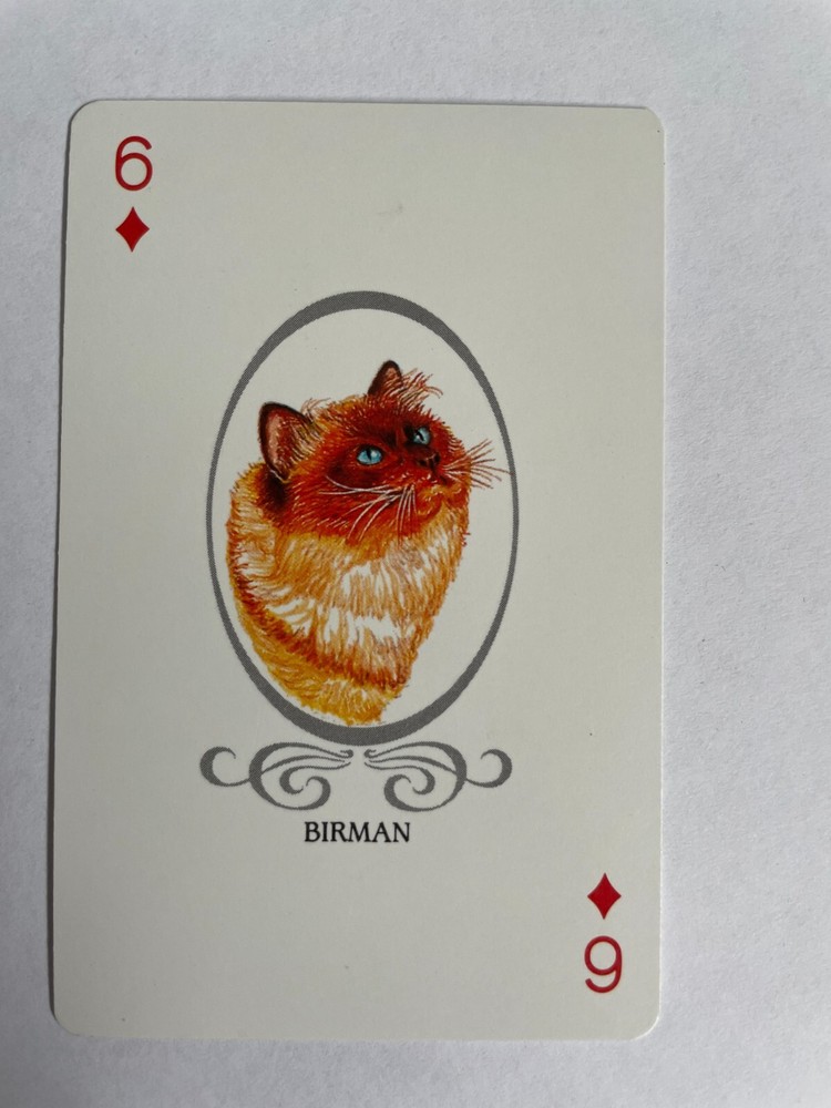 Birman Kitten Cat Portrait Artist Artwork Painting Vintage Playing Swap Card x1