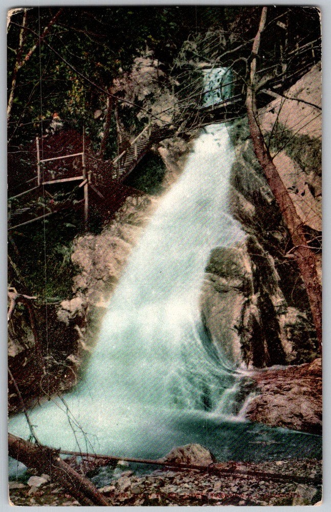 Antique Postcard Waterfall Wooden Walkway Bridge 1910s
