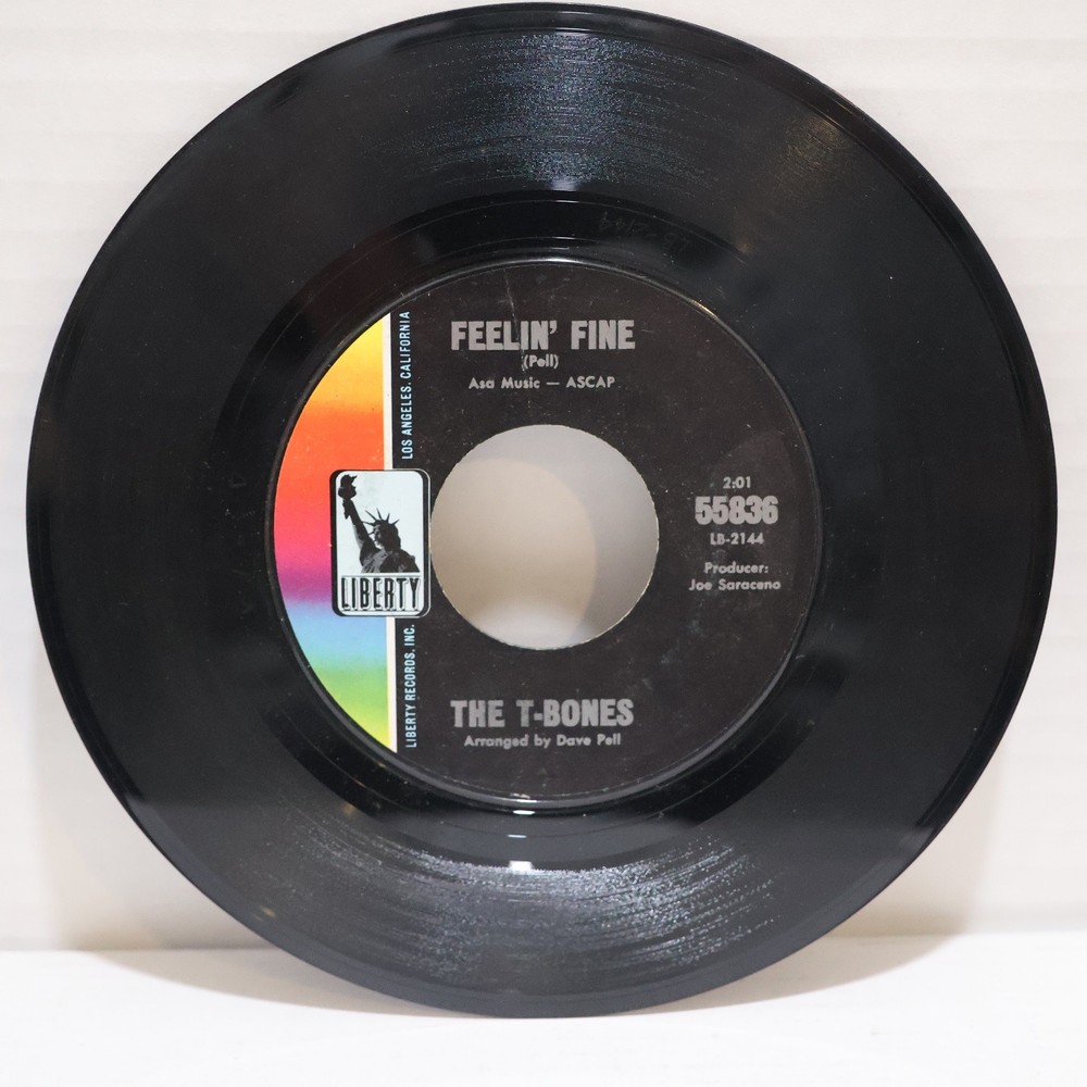 THE T-BONES 45 RPM No Matter What Shape 7