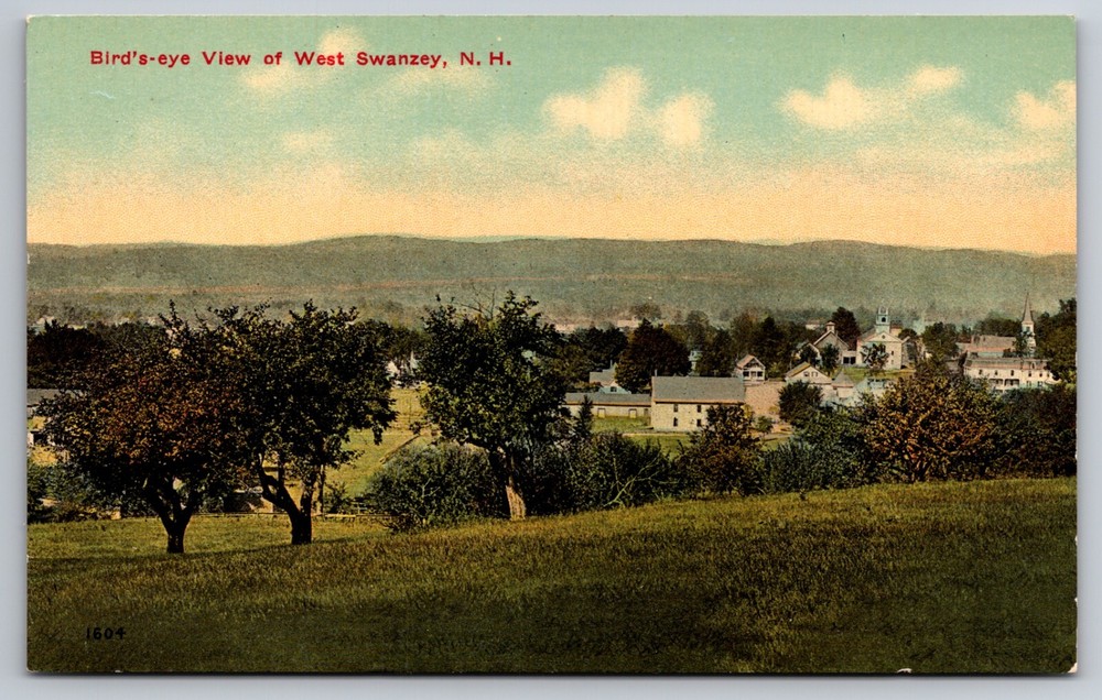 Birdseye View of West Swanzey New Hampshire NH c1910 Postcard