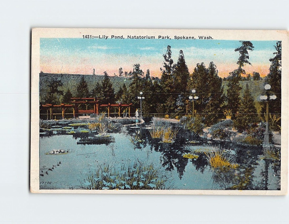 Postcard Lily Pond Natatorium Park Spokane Washington USA