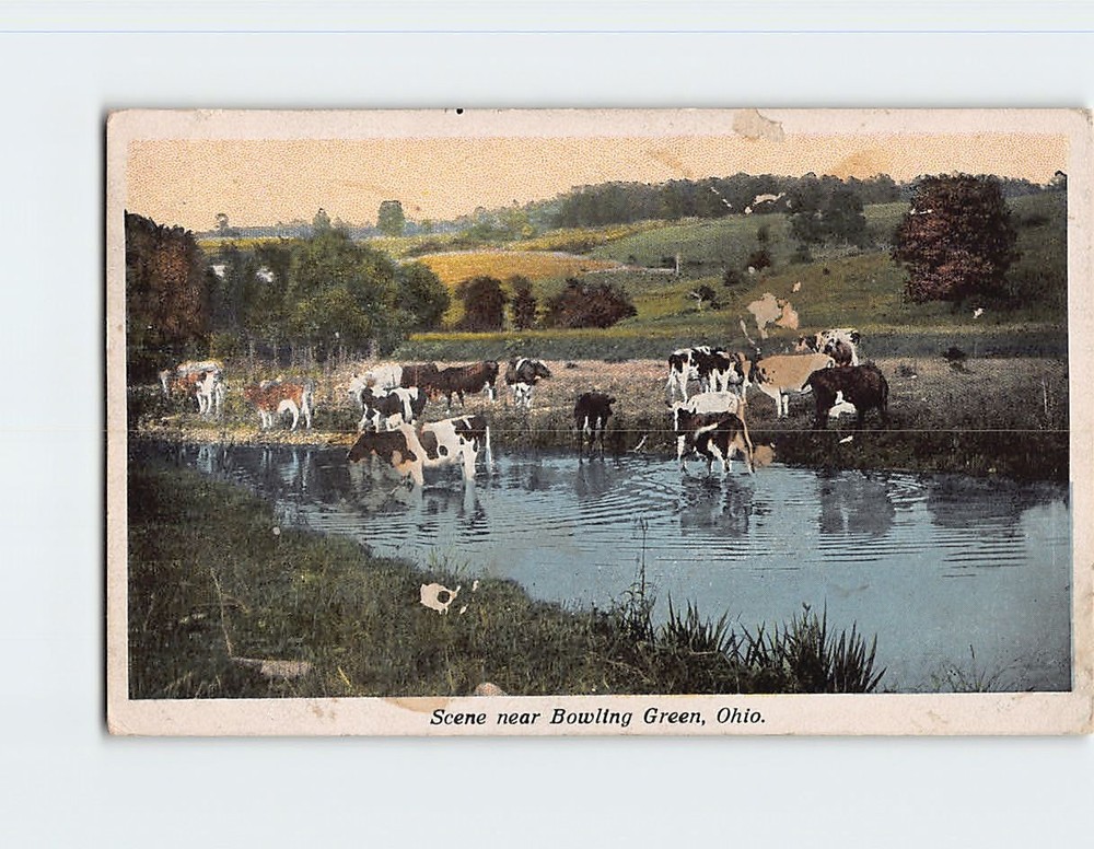 Postcard Scene near Bowling Green Ohio USA