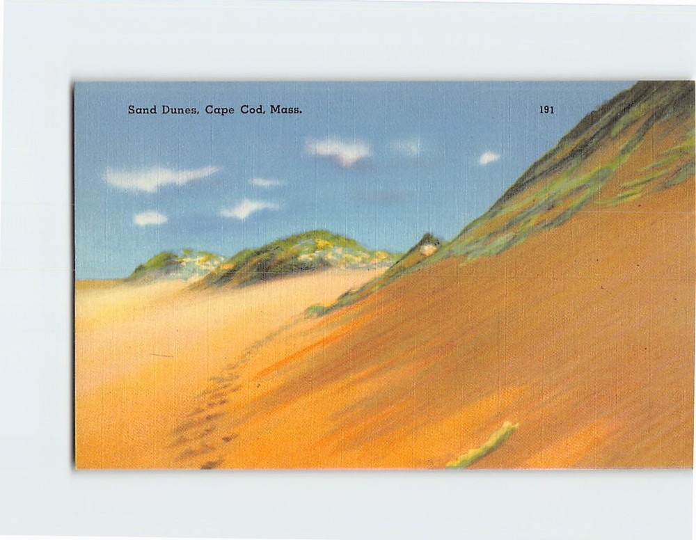 Postcard Sand Dunes Cape Cod Massachusetts USA