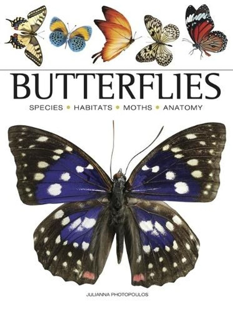 Butterflies by Julianna Photopoulos (English) Paperback Book