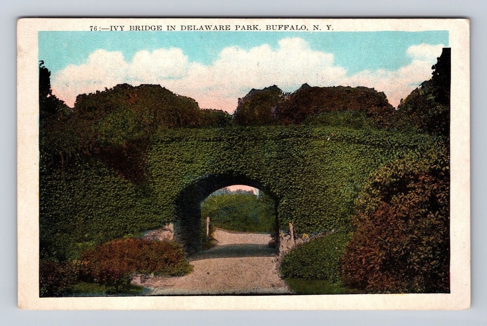 Buffalo NY-New York, Ivy Bridge in Delaware Park, Antique Vintage Postcard