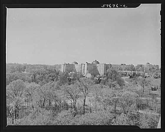Photo:Washington DC 1900s Apartment Buildings Park View