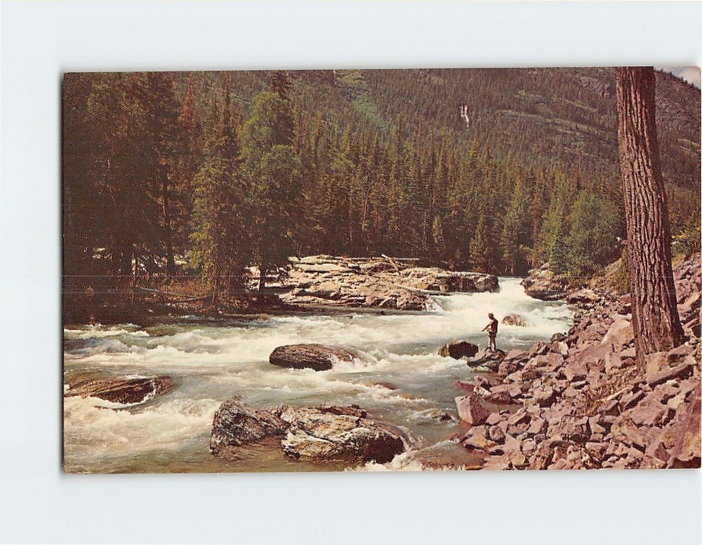 Postcard McDonald Creek Glacier National Park Montana USA