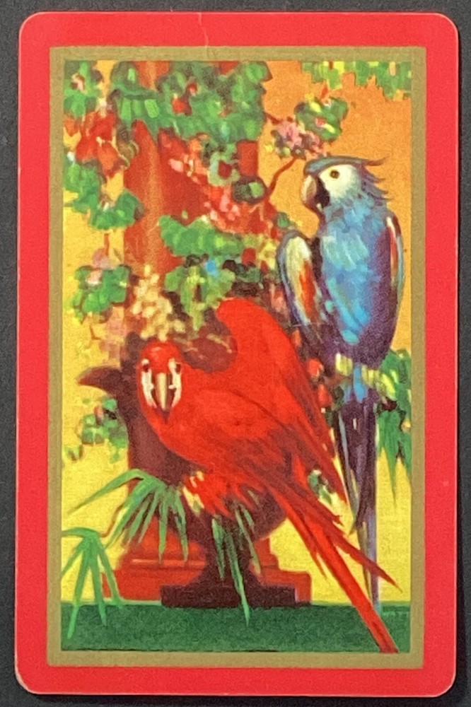 Birds Vintage Single Swap Playing Card