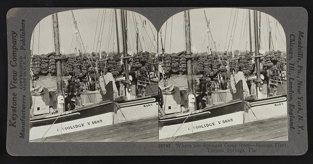 Photo:Tarpon Springs Fla 1926 Sponge Fleet Sponge Boats Harbor Docksters
