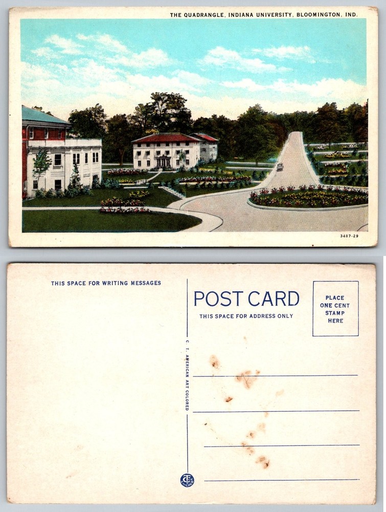Indiana University Bloomington Quadrangle Vintage Postcard C. T. American Art