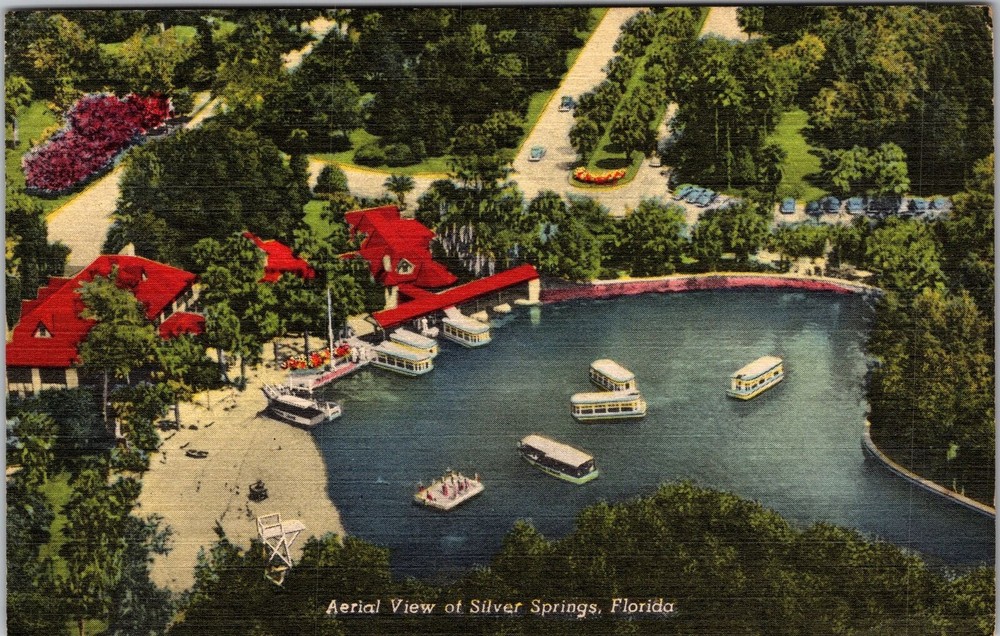 Silver Springs FL-Florida, Aerial View Lake, Vintage Postcard