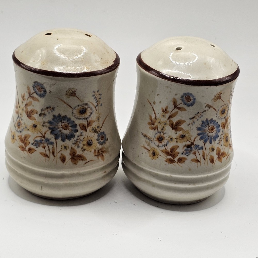 Salt And Pepper Shakers Vintage Retro Floral Country Core Japan Speckled