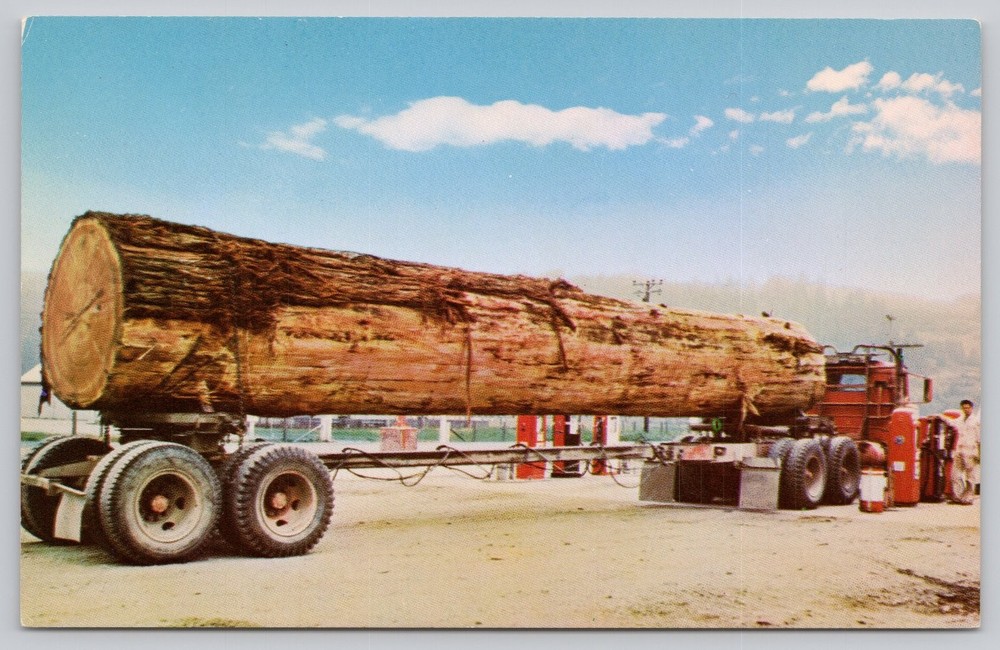 Vintage Redwood Highway CA Postcard Logging Truck Giant Log 