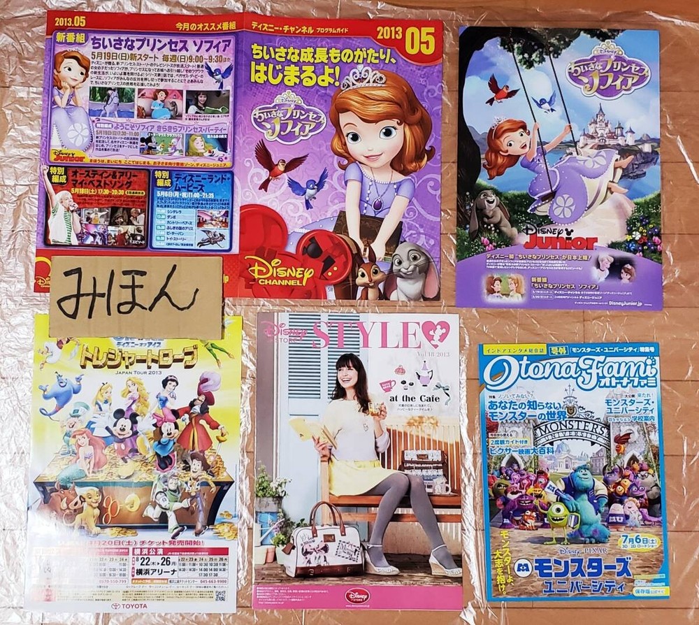 Disney Ice Princess SofiMonsters Inc Toy Story Pixar Mickey Minnie flyer V4