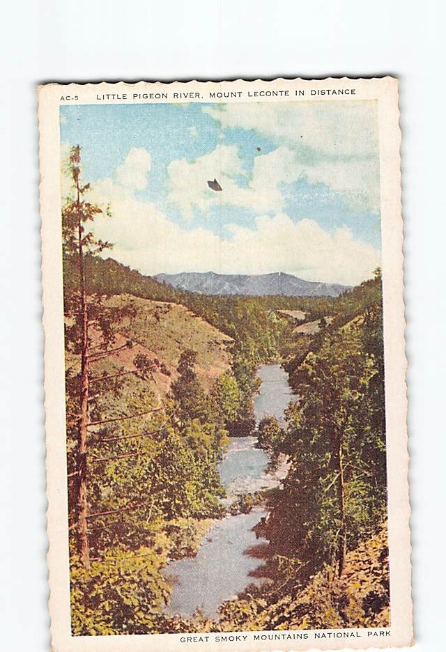 Postcard Little Pigeon River Mount LeConte Tennessee USA