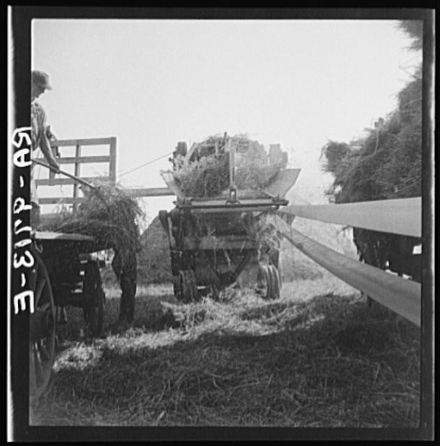 Photo:Clayton Indiana Hendricks County 1930s Farm Harvest Hay Wagon FSA