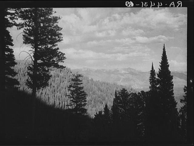 Photo:Teton National Forest Wyoming 1936 Mountain Forest Landscape FSA