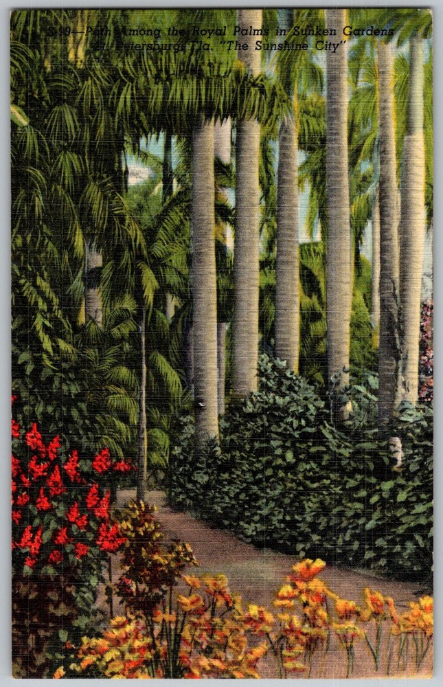 Vtg Linen Postcard Sunken Gardens Royal Palms St Petersburg, FL 1940s