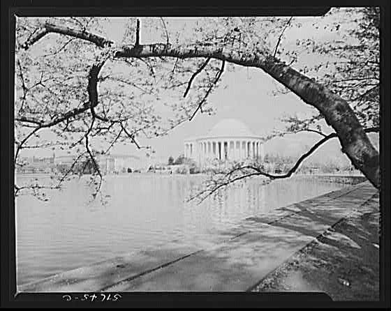 Photo:Washington DC Jefferson Memorial 1940s Potomac River Cherry Blossoms