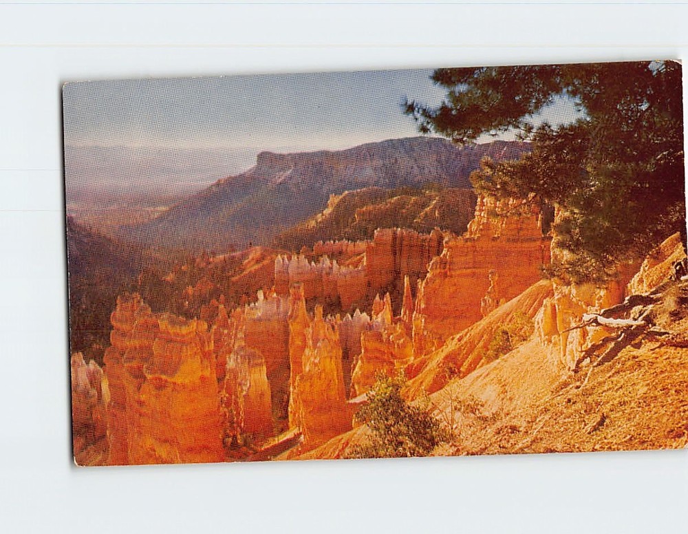 Postcard Bryce Canyon National Park Utah USA