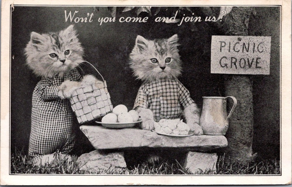 Vintage Frees Kute Kat Komics Kitten Picnic Real Photo Postcard No. 312