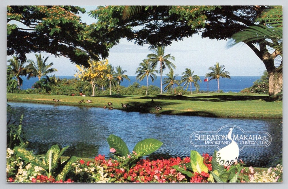 Sheraton Makaha Resort & Country Club Oahu Hawaii Postcard Peacock Logo Pond