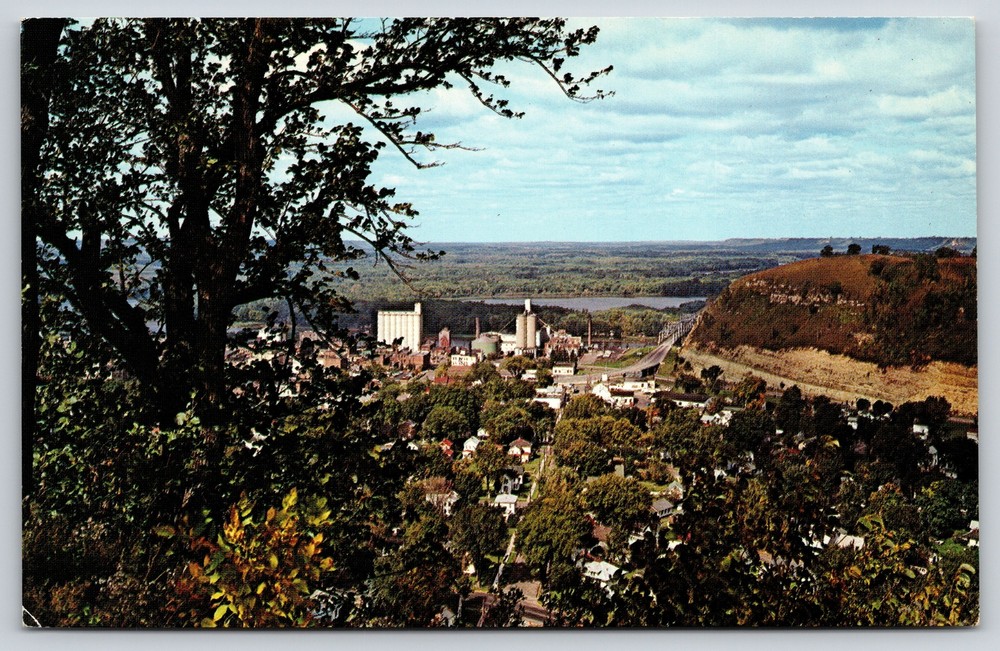 Red Wing Minnesota~Air View City From Tree~Vintage Postcard
