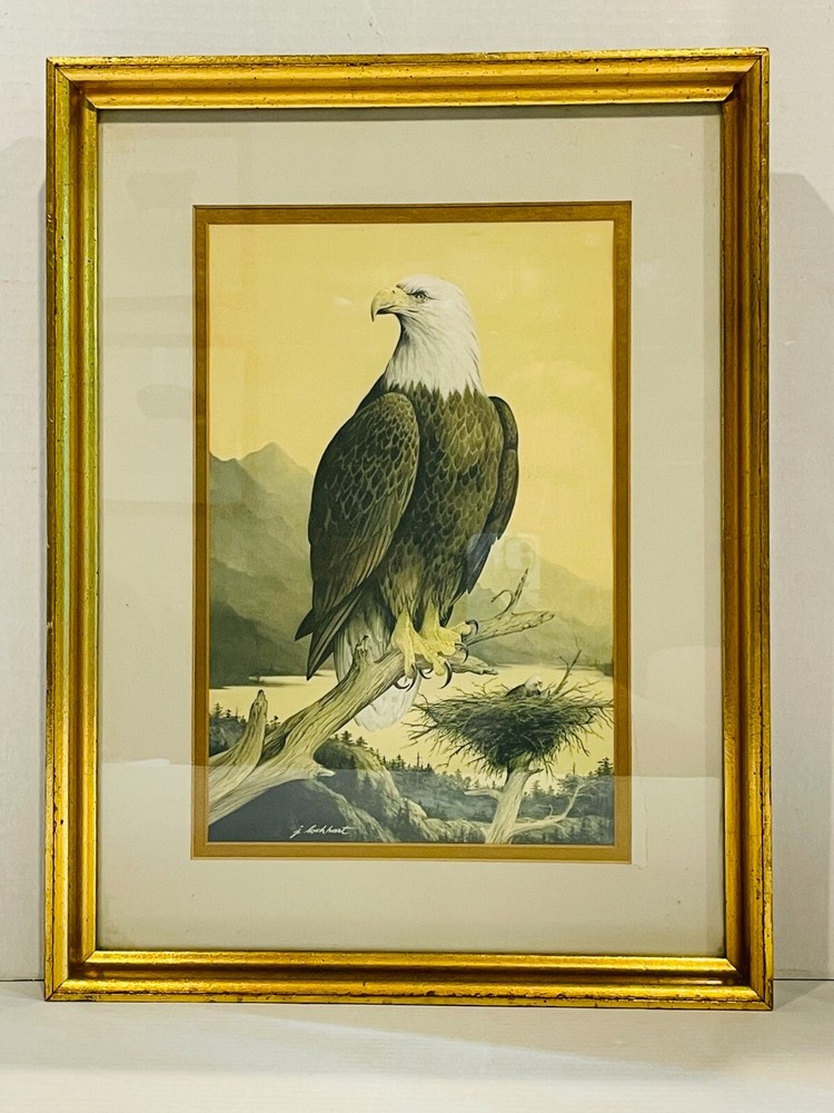 James Lockhart Vintage Bald Eagle 