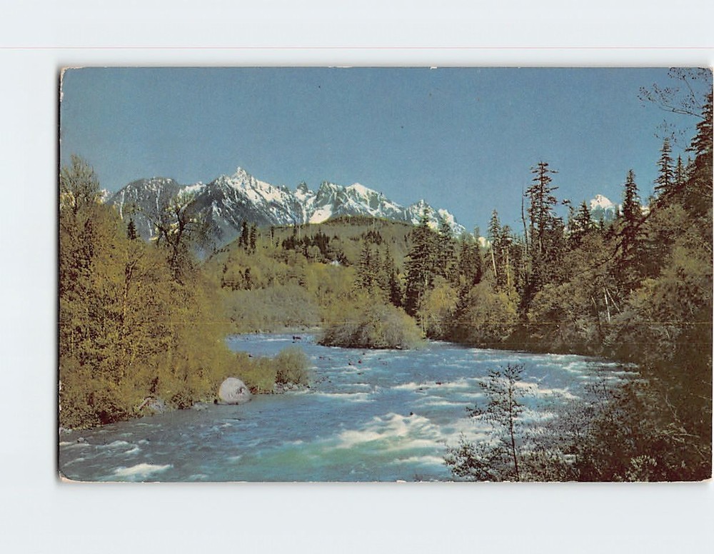Postcard Skyhomish River Washington USA