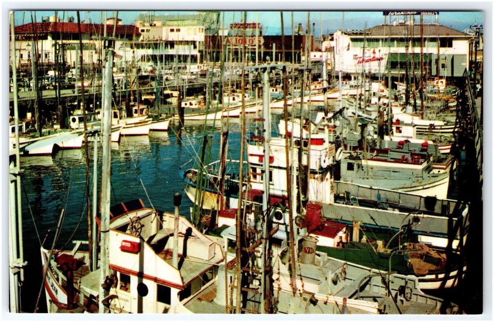 Fishing Fleet Located at Fisherman’s Wharf San Francisco California CA Postcard