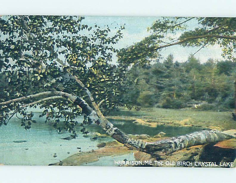 Divided-Back WATER SCENE Harrison Maine ME hk3227