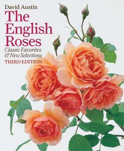 The English Roses: Classic Favorites and New Selections by David Austin: Used