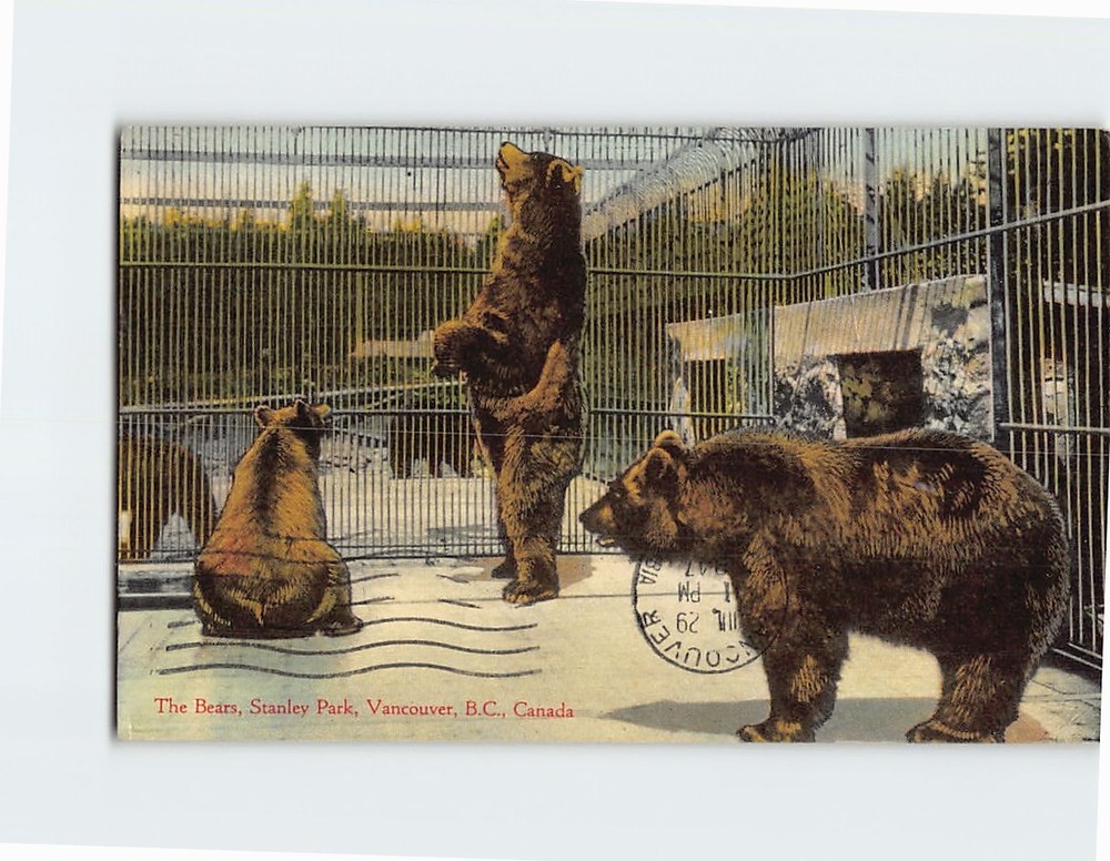 Postcard The Bears Stanley Park Vancouver British Columbia Canada