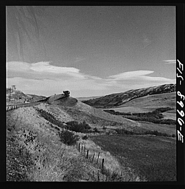 California 1910s Rolling Hills Rural Landscape Fenced Hillside Valley