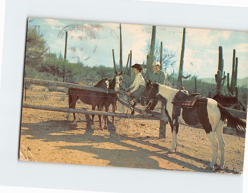 Postcard Couple Horse Farm Western Scenery USA