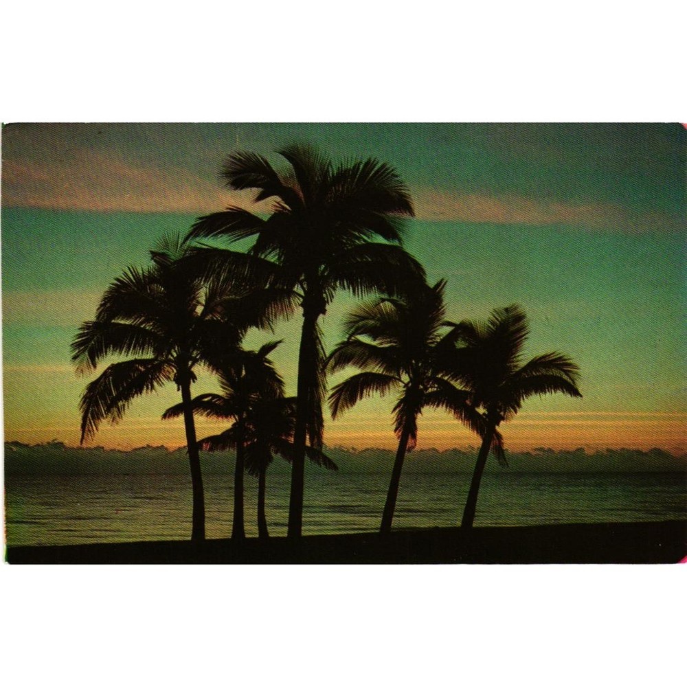 Vintage Florida Sunrise Postcard Palm Trees Miami Koppel Color Cards FG-1 1079