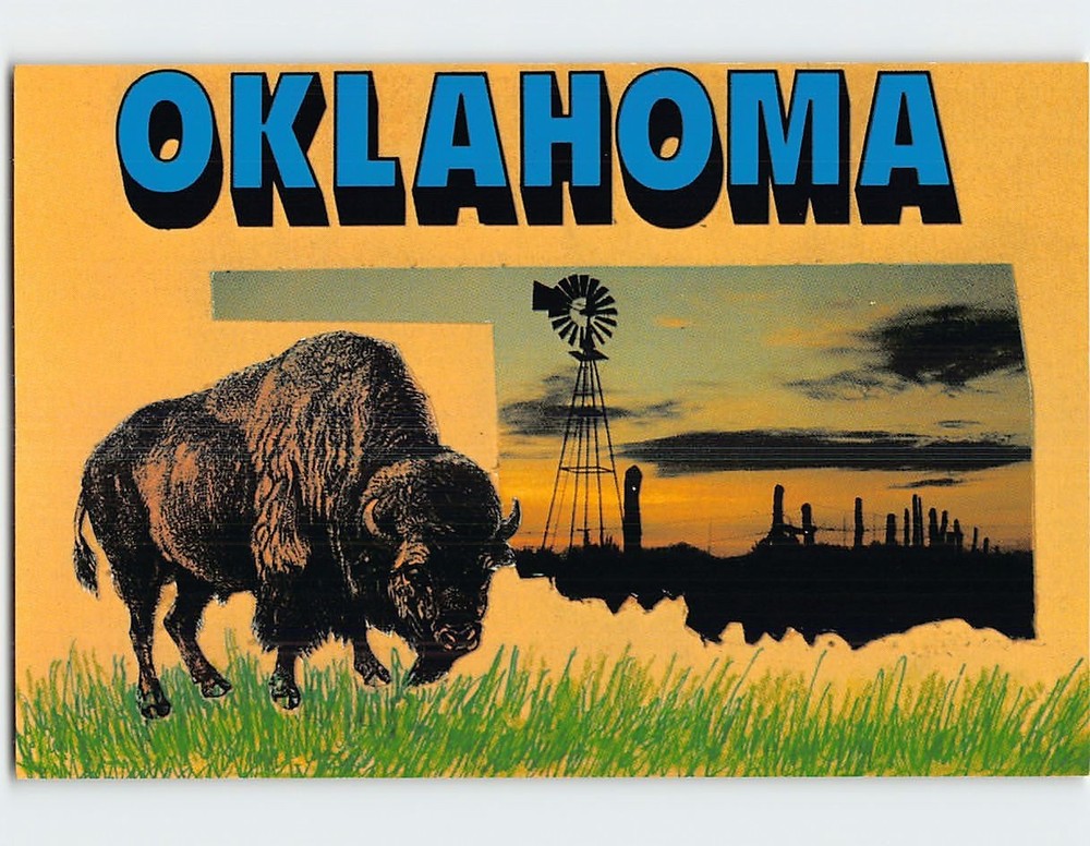 Postcard American Bison Oklahoma USA