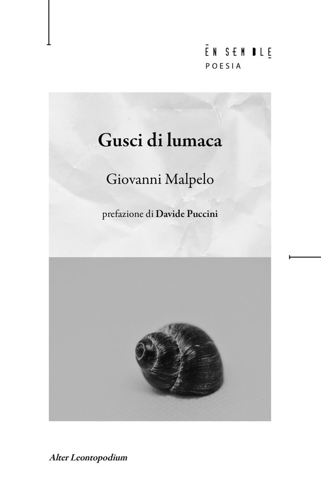 Giovanni Malpelo Davide Puccini Gusci di lumaca (Paperback)Another great item from Rarewaves USA | Free delivery!