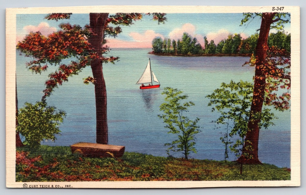 Air View Sailboat & Lake Scene~Vintage Linen Postcard