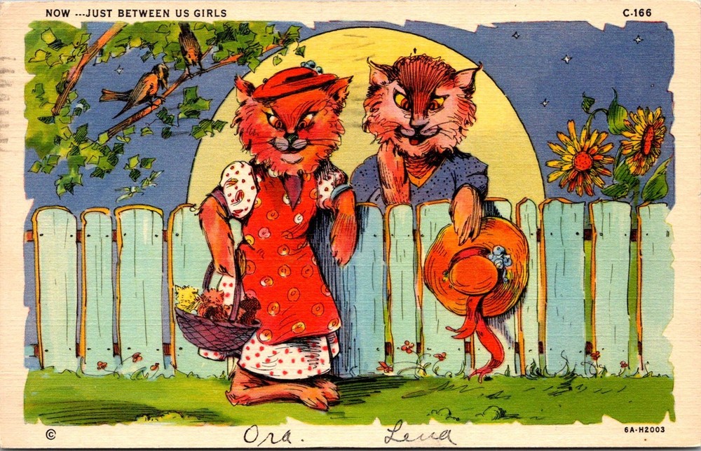 Dr Jim Stamps Vintage Illustrated Postcard of Cats - Now Just Between Us Girls