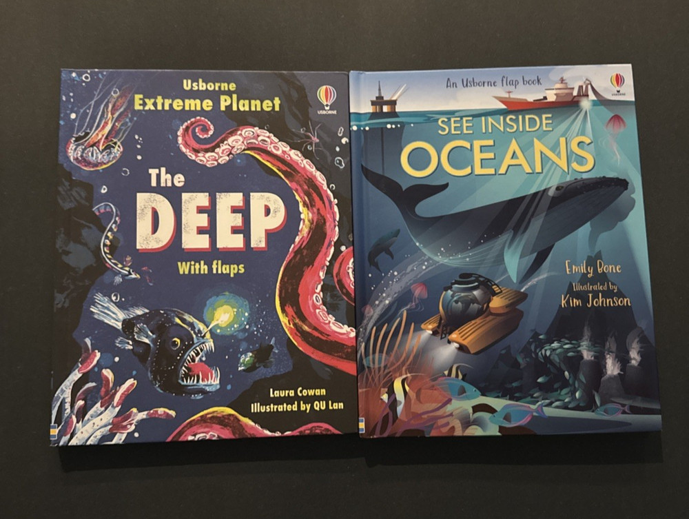 Lift The Flap Usborne Books The Deep and See Inside Oceans