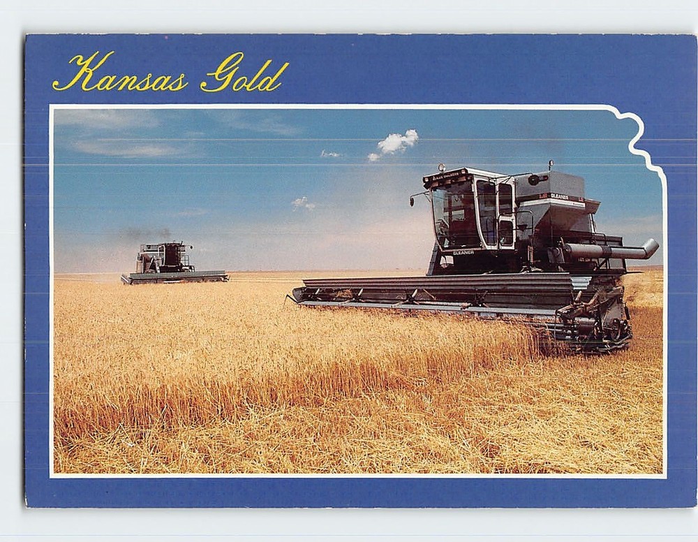 Postcard Wheat Harvest in Kansas USA