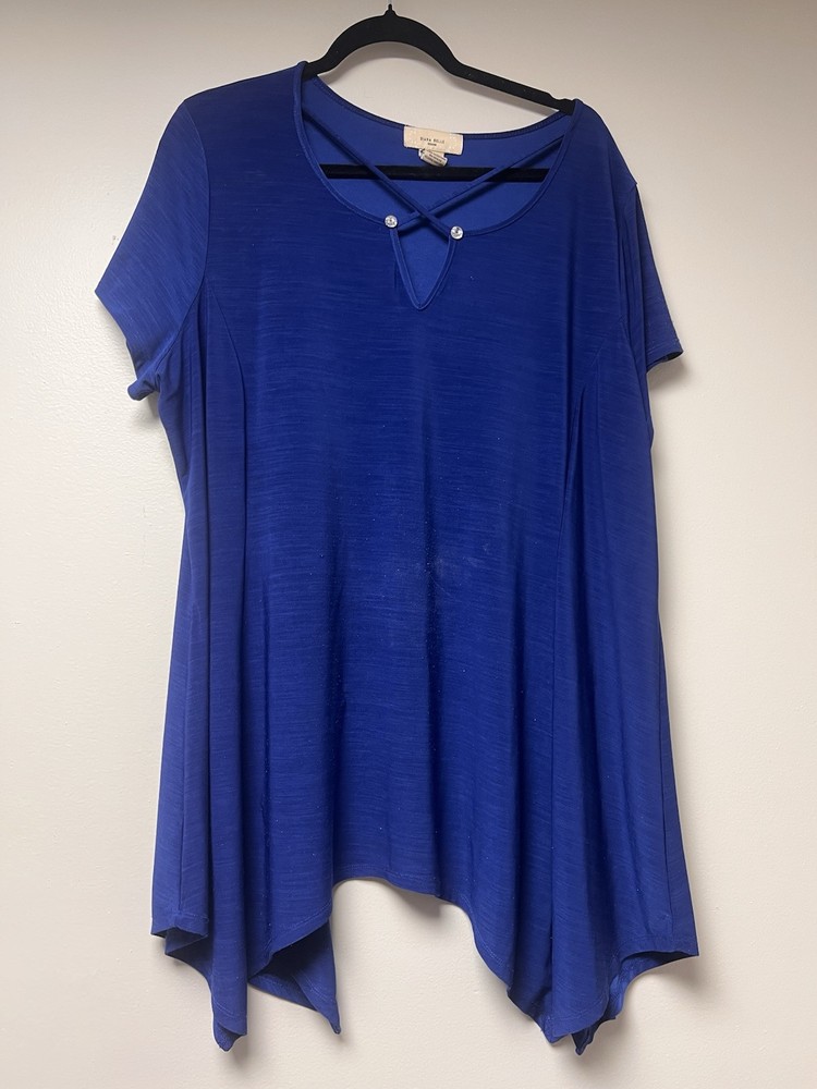 Diana Belle Women’s Blue Blouse Size 3X