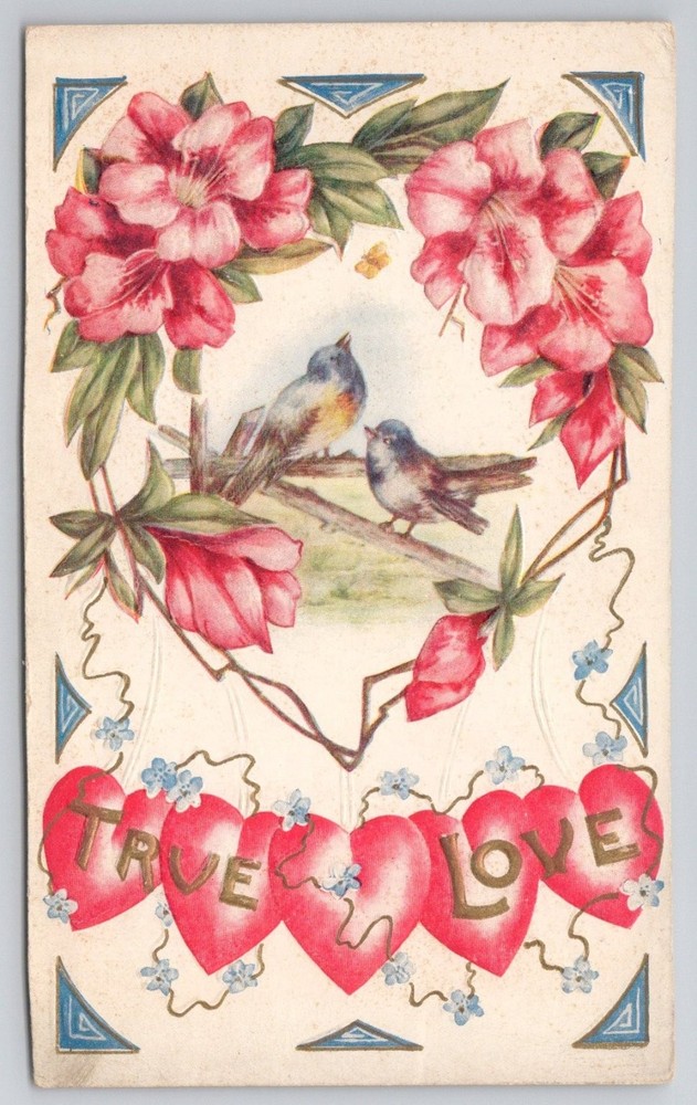 TRUE LOVE Birds & Flowers Embossed Valentine Postcard c1910 Unposted