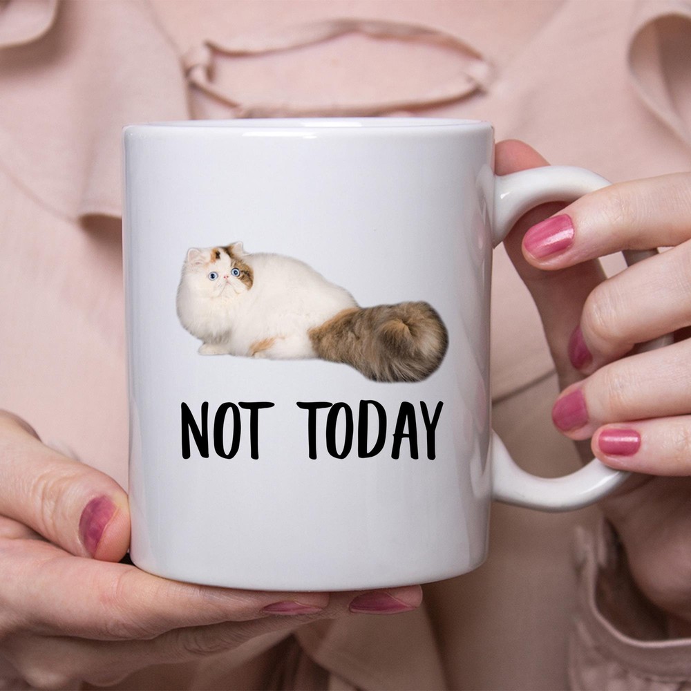 Funny Persian Cat Blue Eye Not Today Cat Mug Lazy Gift For Cats Lovers Coffee