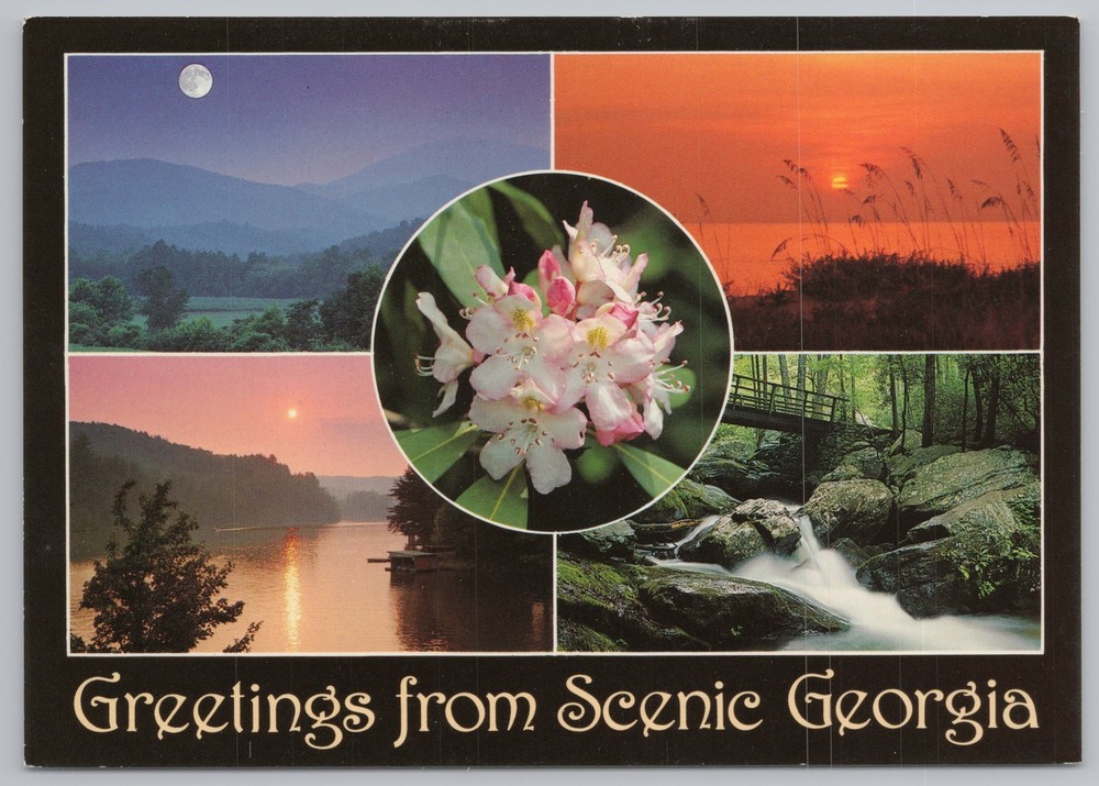 State View~Flowers River Scene Ocean At Sunset In Georgia~Continental Postcard