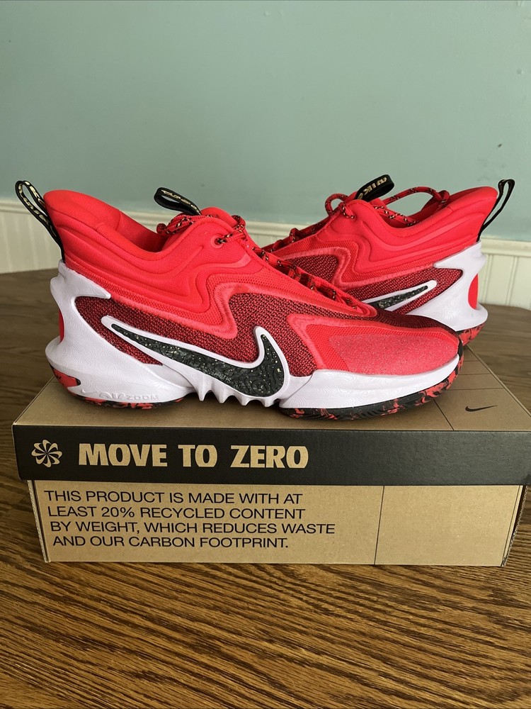 Size 11 - Nike A'ja Wilson x Cosmic Unity 2 Hattie Rakes