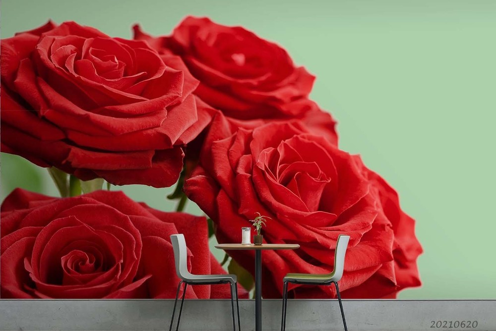 3D Red Rose Plant Close-up Wall Murals Wallpaper Murals Wall Sticker
